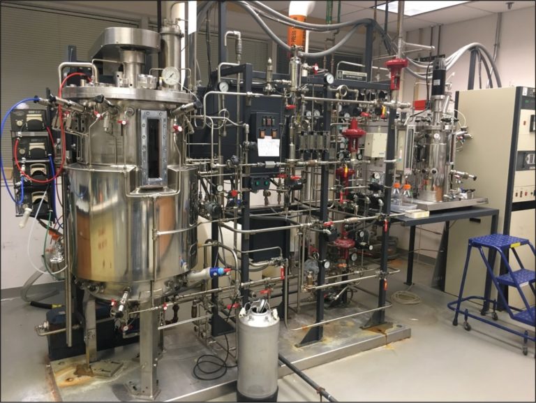 A fermenter culturing methanogenic microorganisms used in biogas reactors to convert solid waste methane