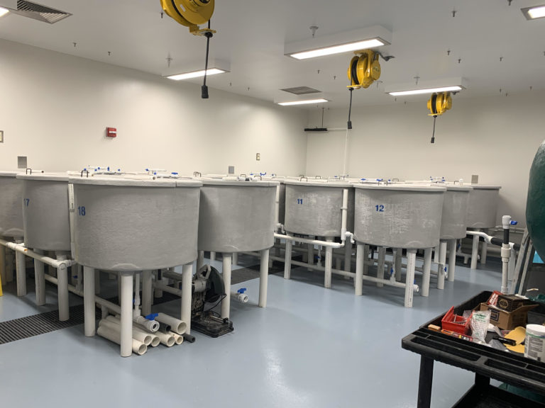 Overview of the recirculating systems in the large aquatic suite at the AAHL