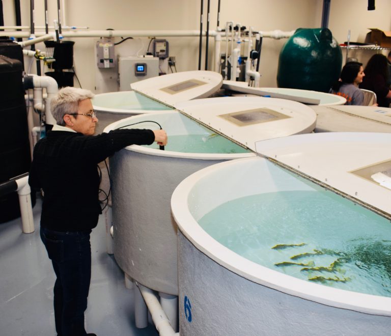Large aquatic suite with recirculation systems to house Atlantic salmon